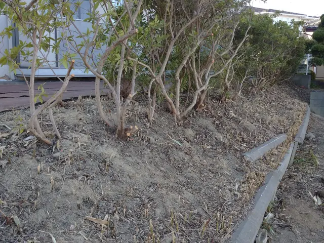 ◆創業6年◆手におえない雑草は地元の業者にお任せ下さい。 丁寧な作業！サービスの画像