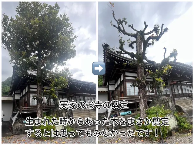 どんなご要望にも応えます★地域施工数No.1★近隣様への配慮★地域指名No.1サービスの画像