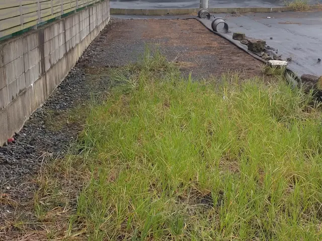 除草作業　散布サービスの画像