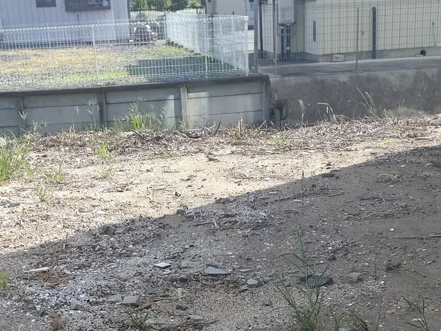 除草作業　散布サービスの画像