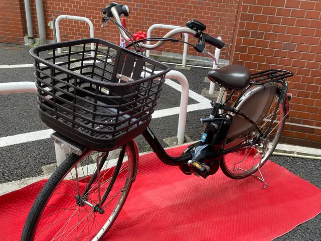 縁起大吉便の自転車配送(宝くじ当選・就職・結婚など吉兆が届いたとチョー話題の運送サービスの画像