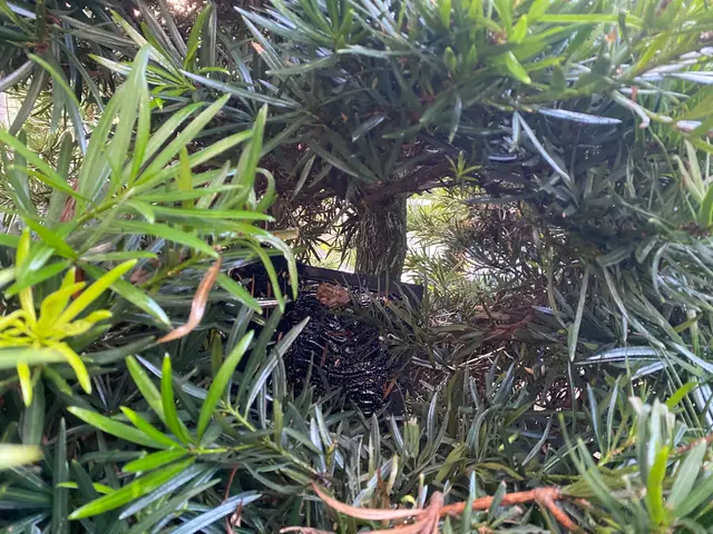 当日夕方〜対応可！年内再発保証付！6,800円！！サービスの画像