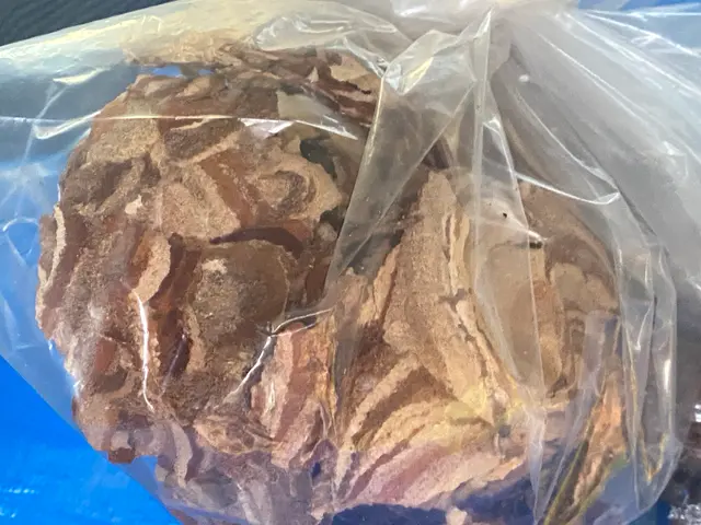 当日夕方〜対応可！年内再発保証付！6,800円！！サービスの画像