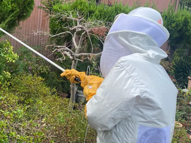 当日夕方〜対応可！年内再発保証付！6,800円！！サービスの画像