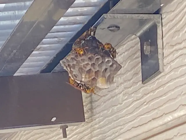 当日夕方〜対応可！年内再発保証付！6,800円！！サービスの画像