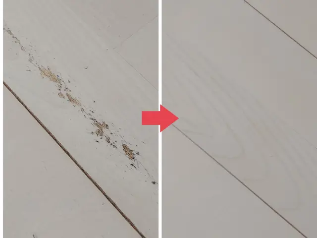 【蕨市発】作業外注一切なし◎事前の作業説明＆料金説明を行ってから作業を開始◎サービスの画像