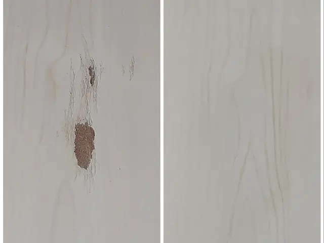 【蕨市発】作業外注一切なし◎事前の作業説明＆料金説明を行ってから作業を開始◎サービスの画像