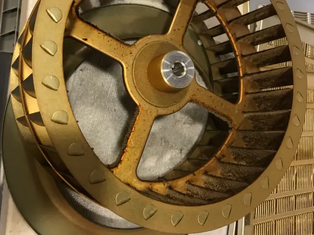 天然植物洗剤使用◎土日も受け付けております！土日希望の際はお問い合わせください！サービスの画像