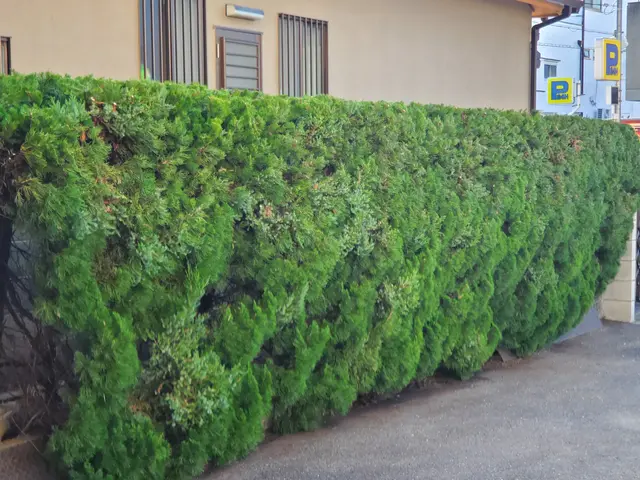 【業界30年の実績】説明は丁寧に、対応は、迅速に！サービスの画像