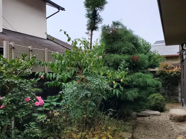 【業界30年の実績】説明は丁寧に、対応は、迅速に！サービスの画像