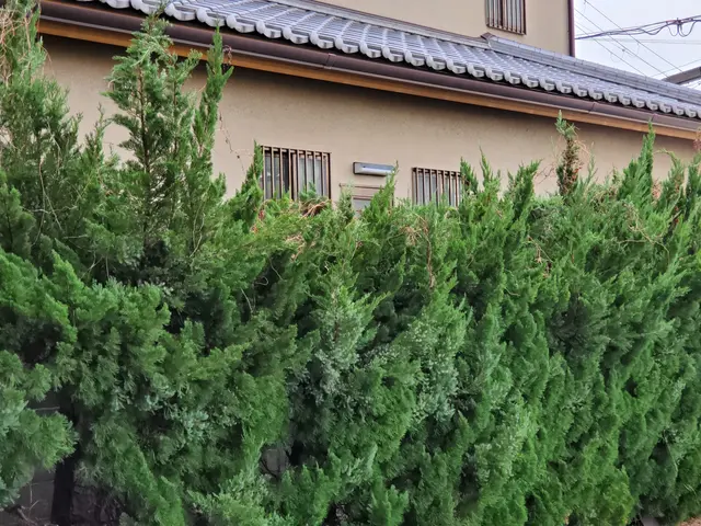 【業界30年の実績】説明は丁寧に、対応は、迅速に！サービスの画像