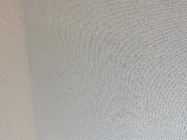 クロスの破れ、壁の凹み、穴補修、きれいにいたします!!サービスの画像