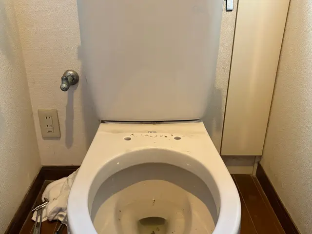 即日対応相談可！ネットで購入した便座も喜んで取り付けます！古い便座の処分もOKサービスの画像