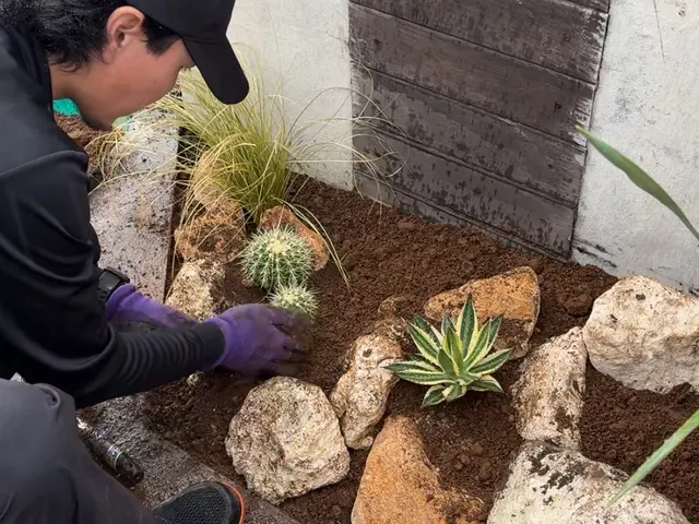【土には自信あり】植物の生産者だから安心。植え替え後の管理をなるべく楽に！サービスの画像