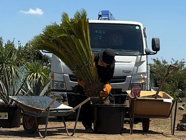 【土には自信あり】植物の生産者だから安心。植え替え後の管理をなるべく楽に！サービスの画像