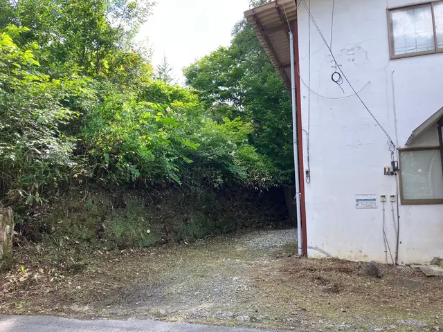 ◆損害保険加入済みで安心◆立会不要、見積無料！スッキリと刈払います！サービスの画像