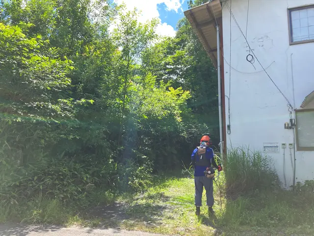 ◆損害保険加入済みで安心◆立会不要、見積無料！スッキリと刈払います！サービスの画像