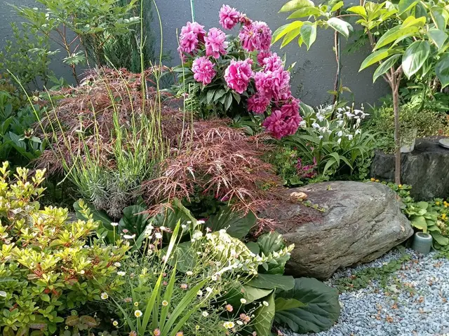 お花&肥料代込★季節のお花を植えます！理想のお庭へお手伝いいたします！サービスの画像