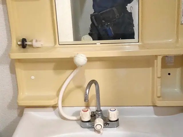 洗面所クリーニングサービスの画像