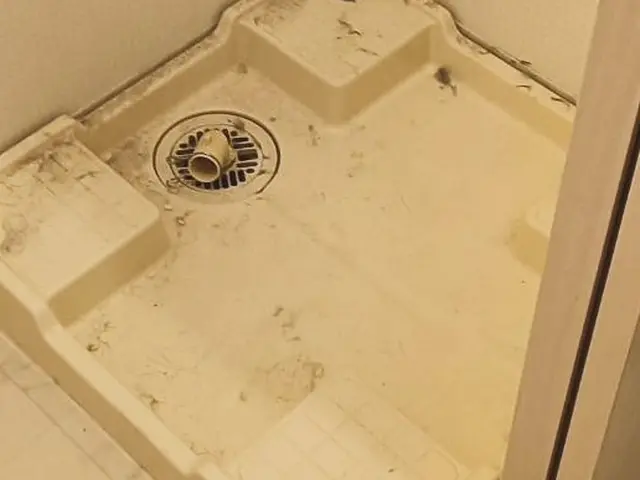 ◎予約から施工まで100%自社対応◎女性スタッフ同行可◎アフターフォローも万全サービスの画像