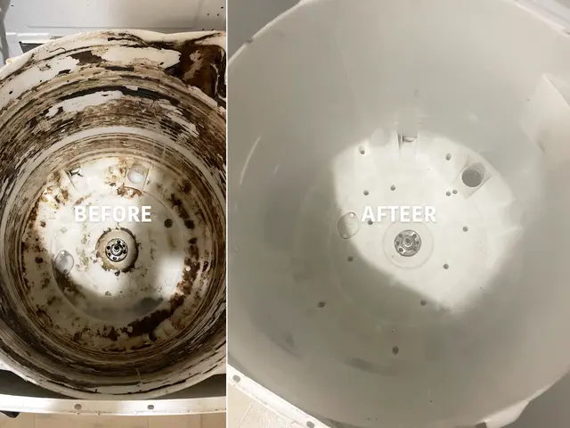 安心の分解洗浄！(9kgまで)★洗濯機のカビ・汚れを徹底洗浄！◎エアコン割引ありサービスの画像