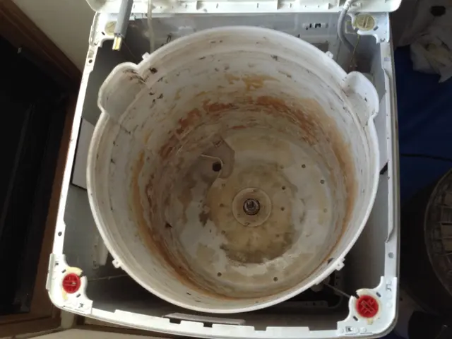 【QR・クレカ対応】洗濯機クリーニング♪綺麗な洗濯槽で衣類も清潔！サービスの画像