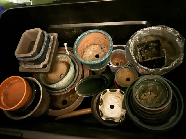 3年間100件以上の実績！大手企業も信頼するスペシャリストがご要望に完全対応サービスの画像