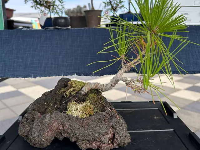 3年間100件以上の実績！大手企業も信頼するスペシャリストがご要望に完全対応サービスの画像