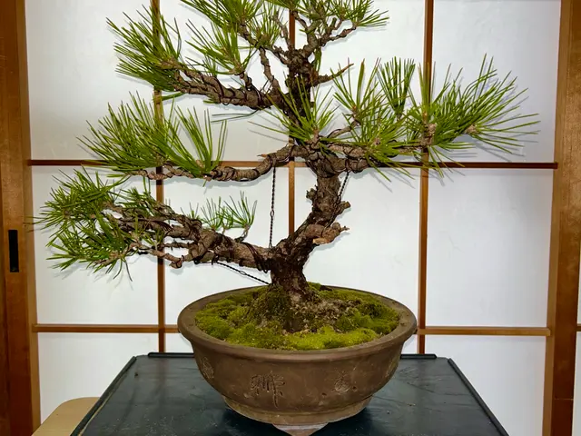 3年間100件以上の実績！大手企業も信頼するスペシャリストがご要望に完全対応サービスの画像