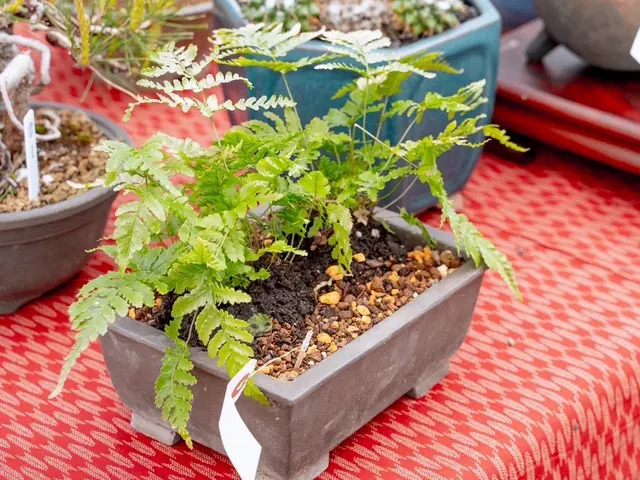 3年間100件以上の実績！大手企業も信頼するスペシャリストがご要望に完全対応サービスの画像