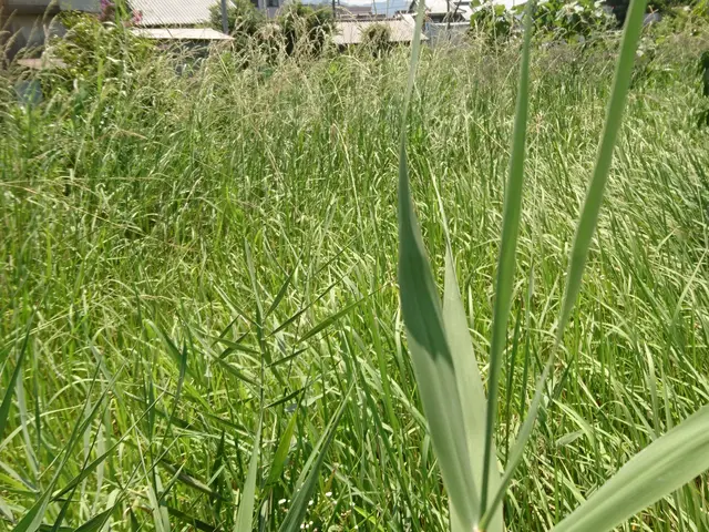 【業界歴15年】人工芝可◎砂利敷OK！空き家対応可☆彡サービスの画像