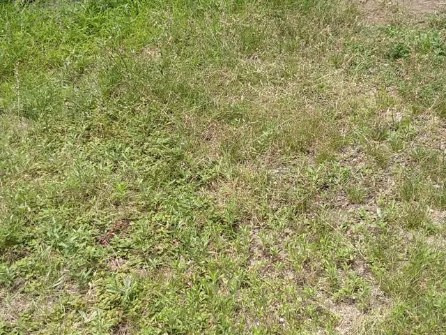 【業界歴15年】人工芝可◎砂利敷OK！空き家対応可☆彡サービスの画像