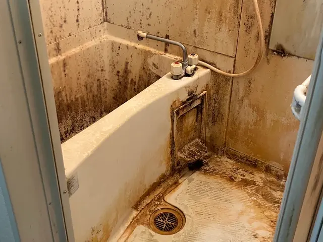 《浴室クリーニング》月100件の経験と技術。お部屋掃除のプロがお伺い致しますサービスの画像