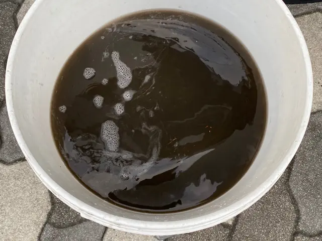 信頼の国家資格！ハウスクリーニング技能士に任せて安心！今なら消臭抗菌コート半額！サービスの画像