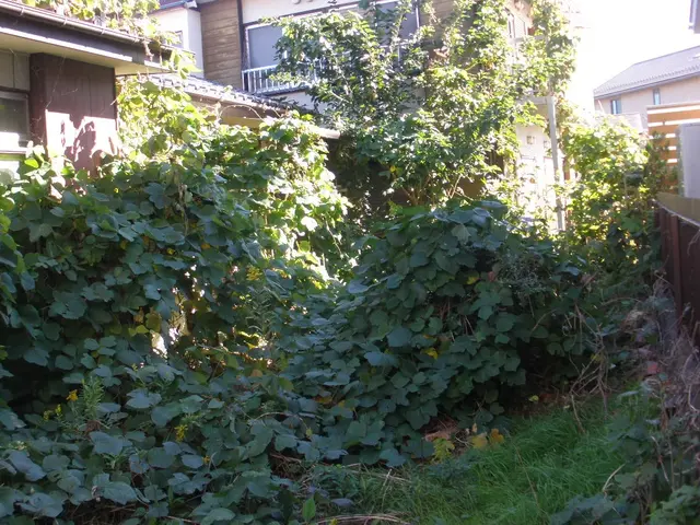 埼玉県西部・東京都西部！雑草で困ったらご相談☆しっかりとヒアリング★サービスの画像