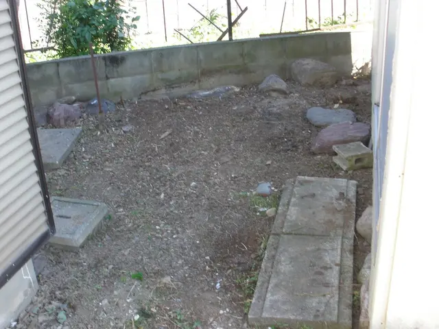 埼玉県西部・東京都西部！雑草で困ったらご相談☆しっかりとヒアリング★サービスの画像