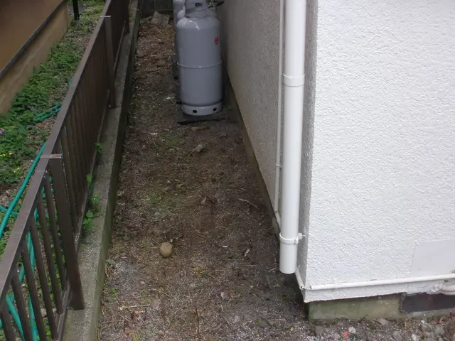 埼玉県西部・東京都西部！雑草で困ったらご相談☆しっかりとヒアリング★サービスの画像