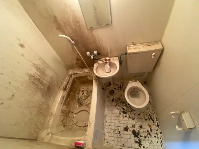 専用薬剤でカビや汚れを徹底除去！簡易清掃とは違います！サービスの画像