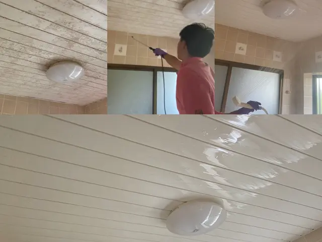 専用薬剤でカビや汚れを徹底除去！簡易清掃とは違います！サービスの画像