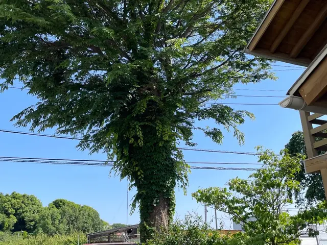 カラス対策施工の施工実績豊富な山本企画！サービスの画像