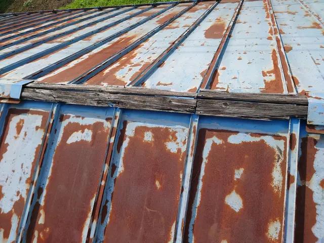 【業歴30年以上の経験と実績】女性スタッフ同行可能！アフターフォローもばっちりサービスの画像