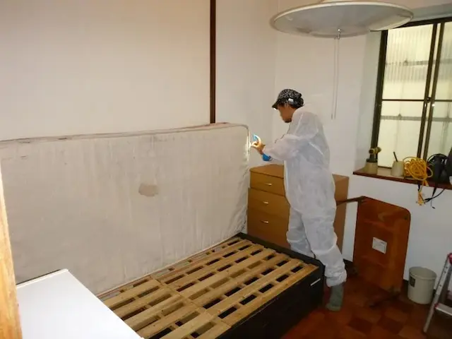 トコジラミ駆除歴10年以上の有資格者多数在籍【再発保証付】【有資格者多数在籍】サービスの画像