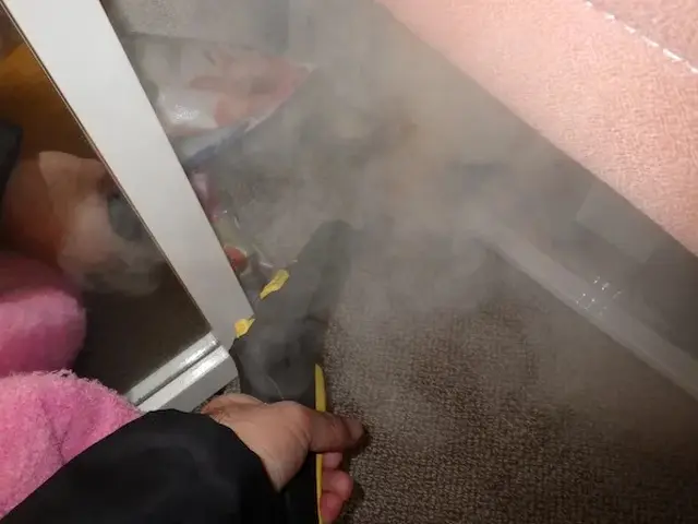 トコジラミ駆除歴10年以上の有資格者多数在籍【再発保証付】【有資格者多数在籍】サービスの画像