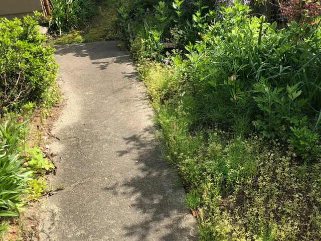 虫嫌いの方は是非お任せください！サービスの画像