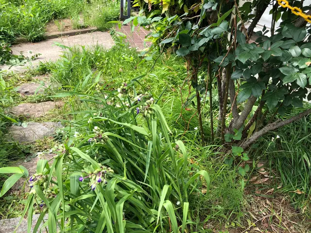 虫嫌いの方は是非お任せください！サービスの画像