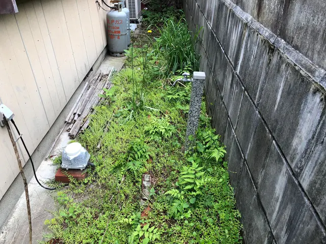 虫嫌いの方は是非お任せください！サービスの画像