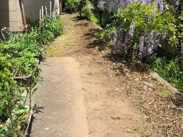 虫嫌いの方は是非お任せください！サービスの画像