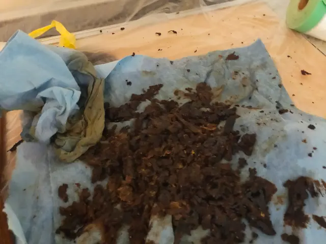 京都、滋賀、頑固な油汚れはお任せ下さい。口コミを参考に！激安値のサービス期間中サービスの画像