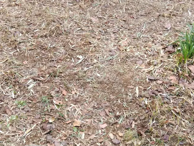 ◯庭園管理士の資格を所有◯迅速丁寧に２0㎡から対応いたします！家工房三ツ沢店サービスの画像