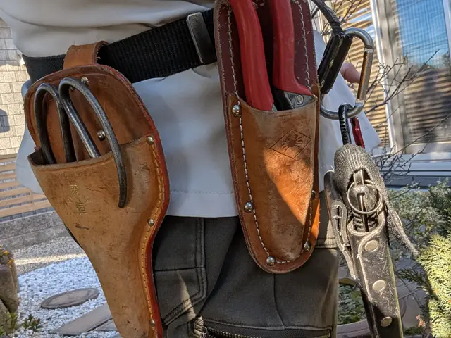 【7年の実績！】 高級マンション対応の庭木エキスパート。作業日はいつでも応相談サービスの画像